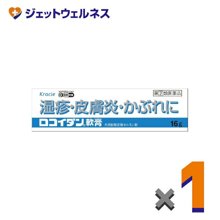 【第(2)類医薬品】ロコイダン軟膏16g×1個※セルフメディケーション税制対象〔湿疹・皮膚炎〕
