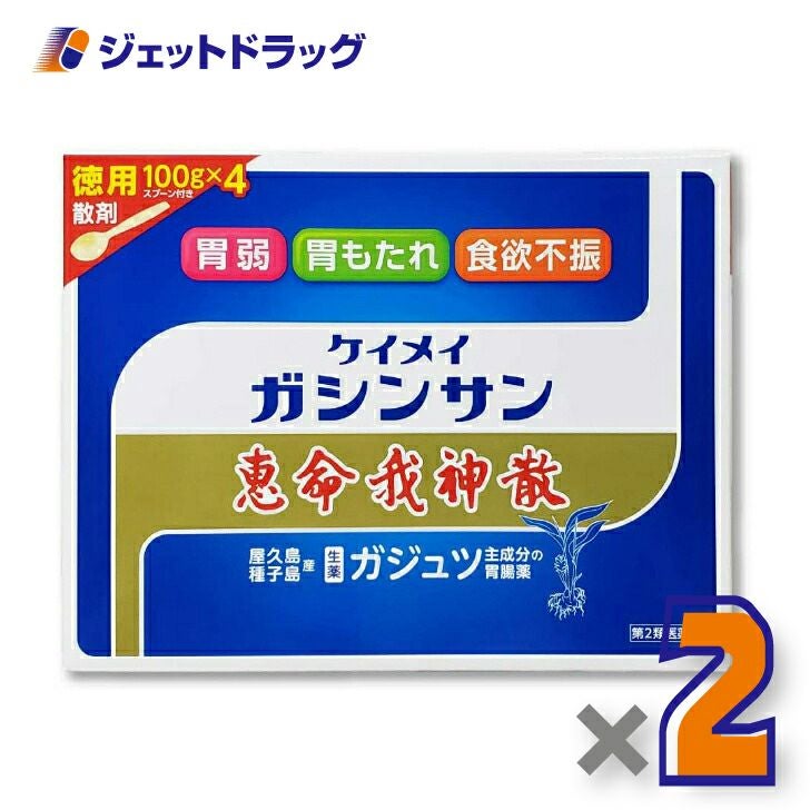 【第2類医薬品】恵命我神散100g×4