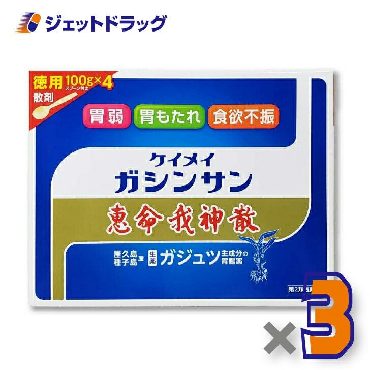 【第2類医薬品】恵命我神散100g×4