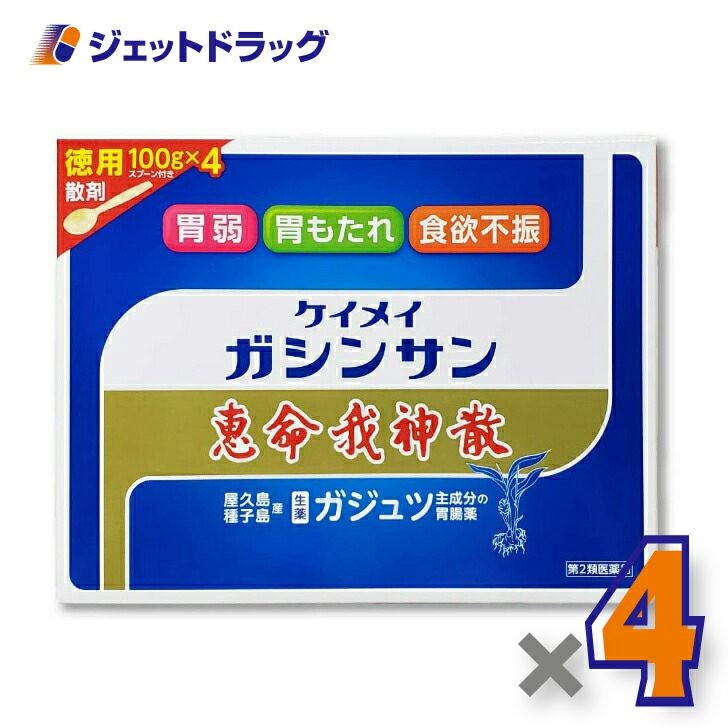 【第2類医薬品】恵命我神散100g×4