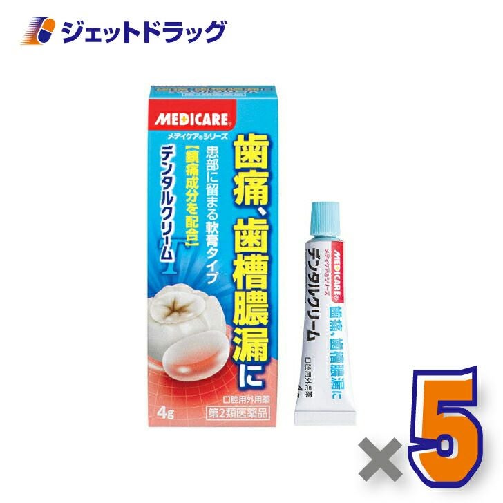 【第2類医薬品】メディケアデンタルクリームT4g