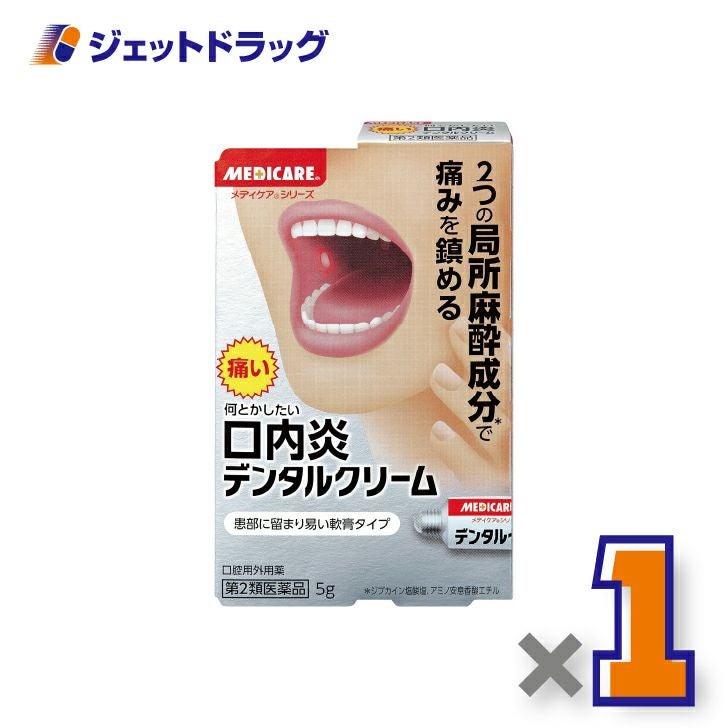 【第2類医薬品】デンタルクリーム5g