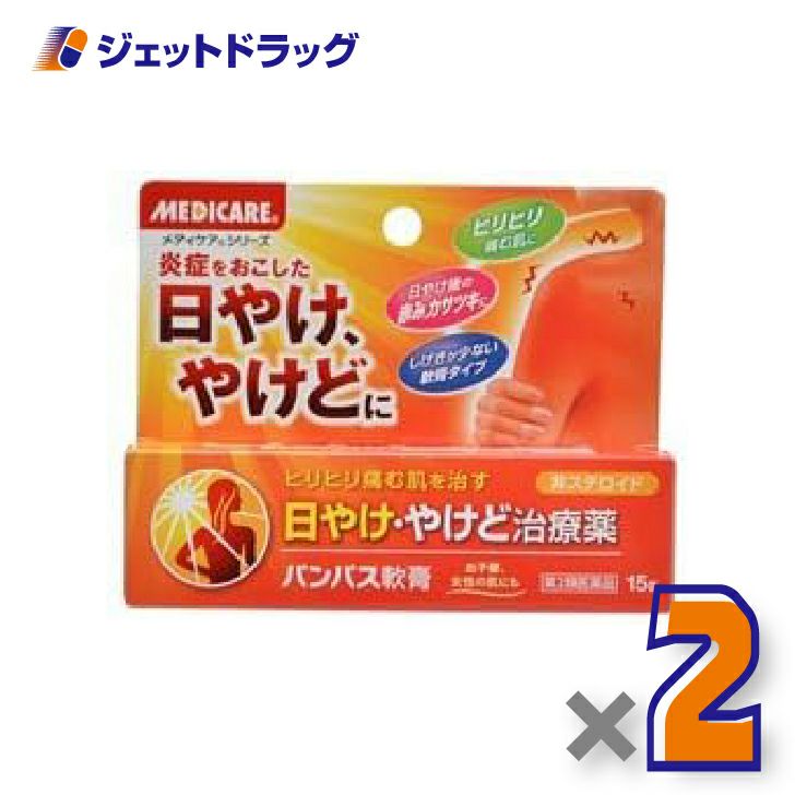 【第2類医薬品】パンパス軟膏15g×2個〔日やけ・やけど〕