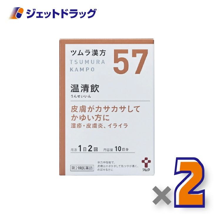 【第2類医薬品】ツムラ漢方温清飲エキス顆粒20包×2個〔湿疹・皮膚炎〕