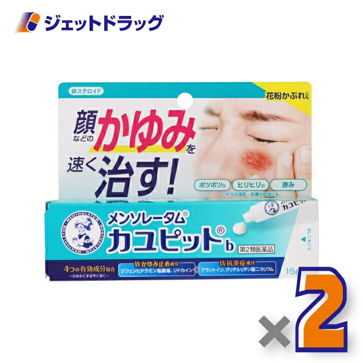 【第2類医薬品】メンソレータムカユピットb15g