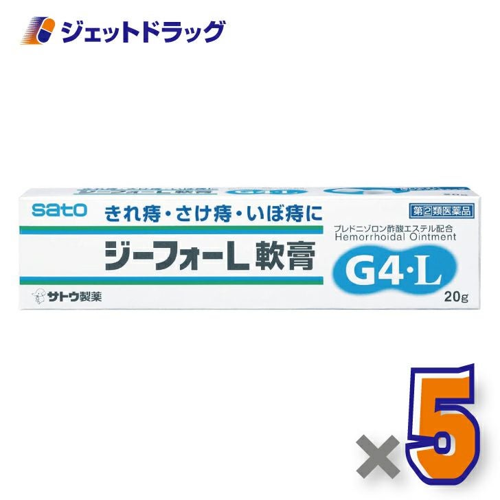 【第(2)類医薬品】ジーフォーL軟膏20g×5個
