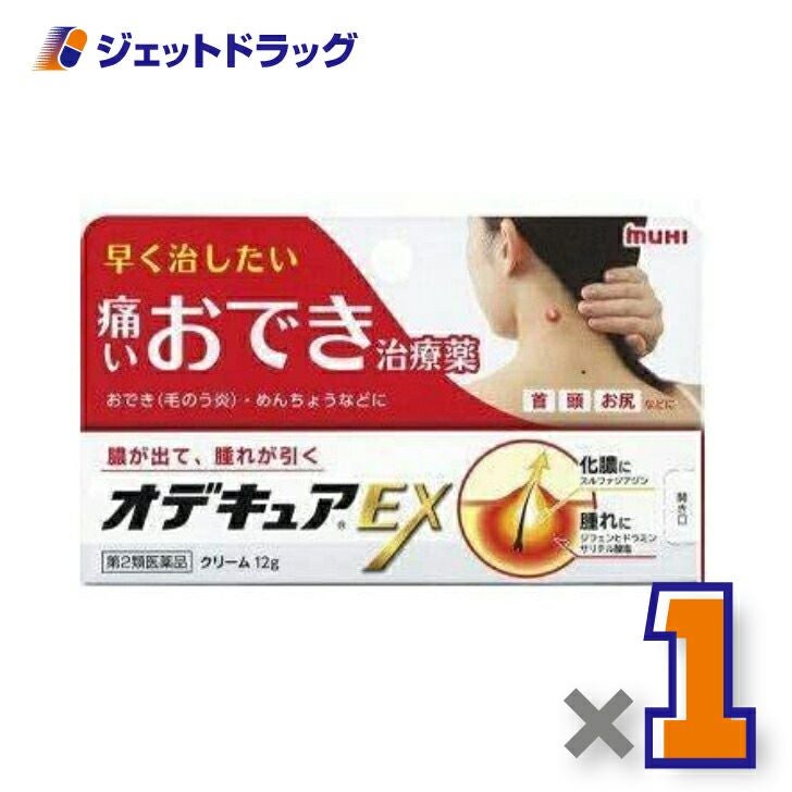 【第2類医薬品】オデキュアEX12g