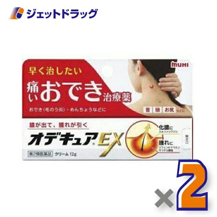【第2類医薬品】オデキュアEX12g