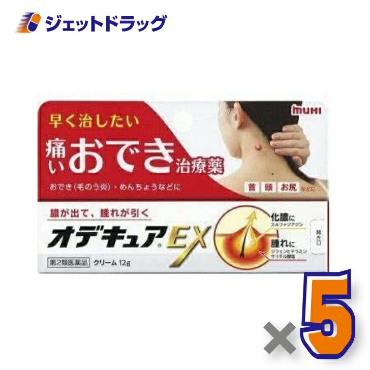 【第2類医薬品】オデキュアEX12g