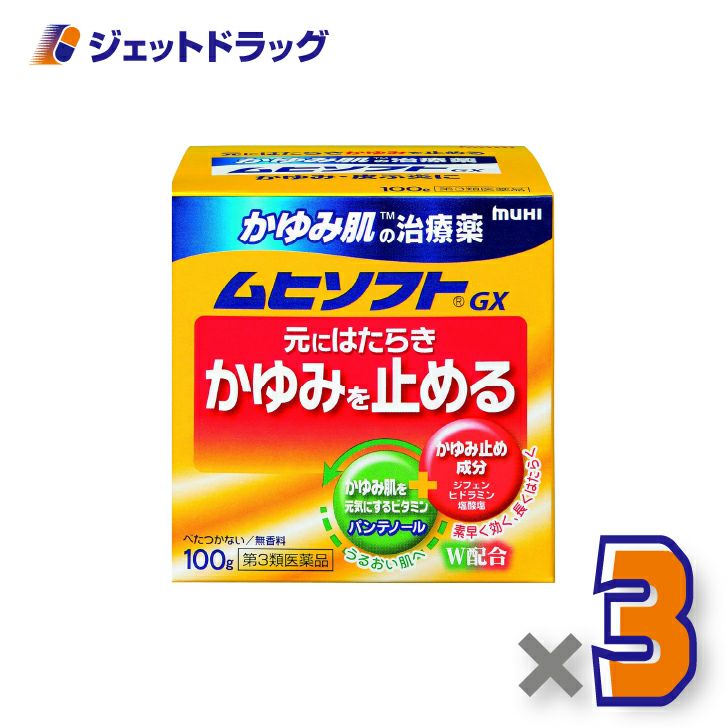 【第3類医薬品】かゆみ肌の治療薬ムヒソフトGX100g×3個※セルフメディケーション税制対象〔かゆみ肌の治療薬〕