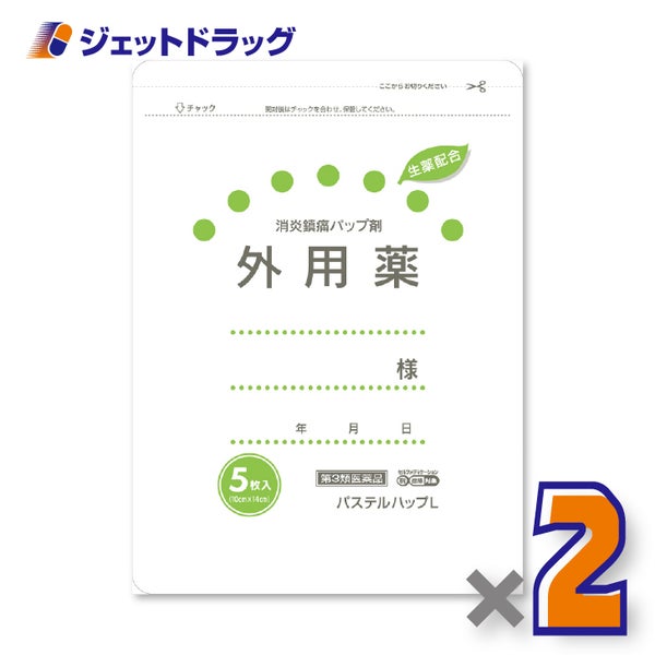 【第3類医薬品】パステルハップL5枚入×2個※セルフメディケーション税制対象〔冷感湿布〕